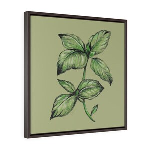 Sweet Basil-Fine Art Print/Fine Art Print/ Square Framed Premium Gallery Wrap Canvas by Rachel Tucker/Bedroom Office Wall Art print/ Floral