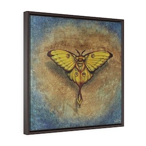 Moon Moth- Fine Art Print/Square Framed Premium Gallery Wrap Canvas by Rachel Tucker/Bedroom Art/ Office Wall Art print/Nature Canvas Print