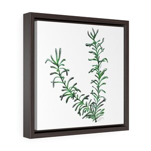 Rosemary- Fine Art Print/Square Framed Premium Gallery Wrap Canvas by Rachel Tucker/Bedroom Art/ Office Wall Art print/ Floral Canvas Print