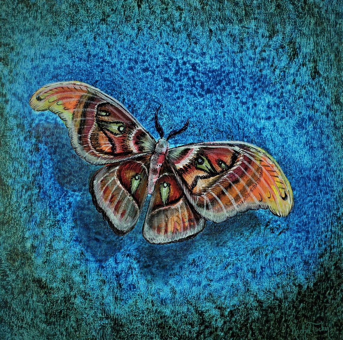 Atlas Mothoriginal Painting/fine Art/butterfly/painting/ Contemporary