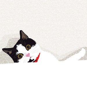 Tilly the mischievous Cat, cat illustration