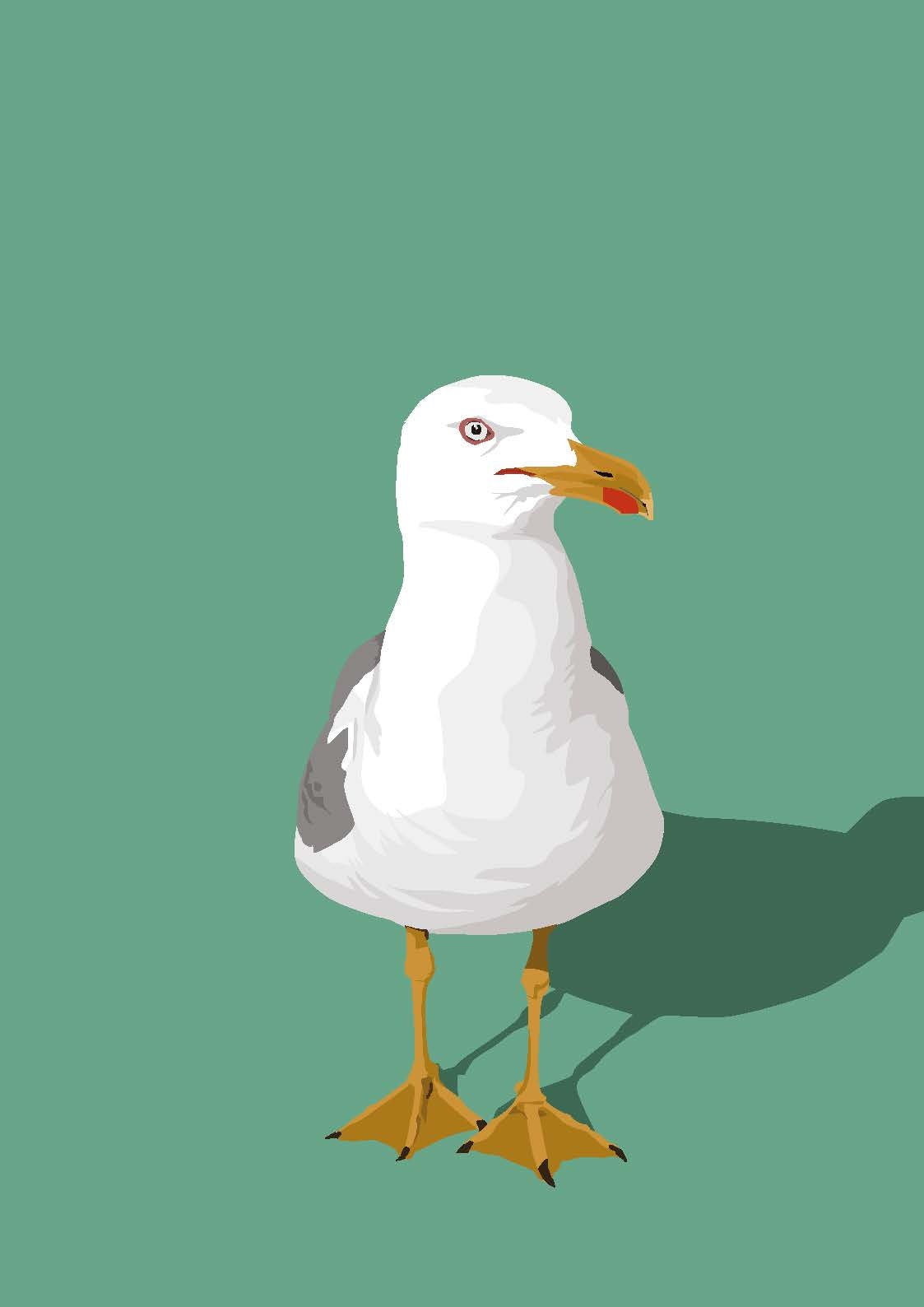 Seagull Print / Coastal Wall Art / Nautical Print - Etsy UK