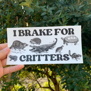 I Brake for Critters, Bumper Sticker, Funny Sticker, Gen z