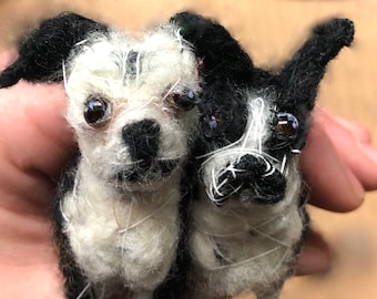 Retrato de mascota (varios) • Boston Terrier