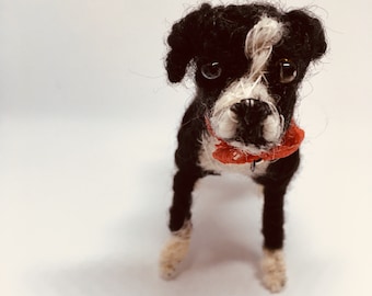 Retrato de mascota • Perro • Todas las razas disponibles