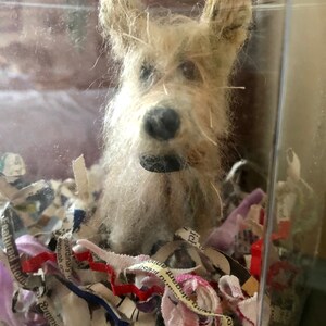 Puede incluir: Escultura de perro beige hecha a mano con nariz negra y orejas ca&iacute;das, exhibida dentro de una caja de pl&aacute;stico transparente. El perro est&aacute; rodeado de papel triturado y retazos de tela, creando una presentaci&oacute;n art&iacute;stica texturizada.