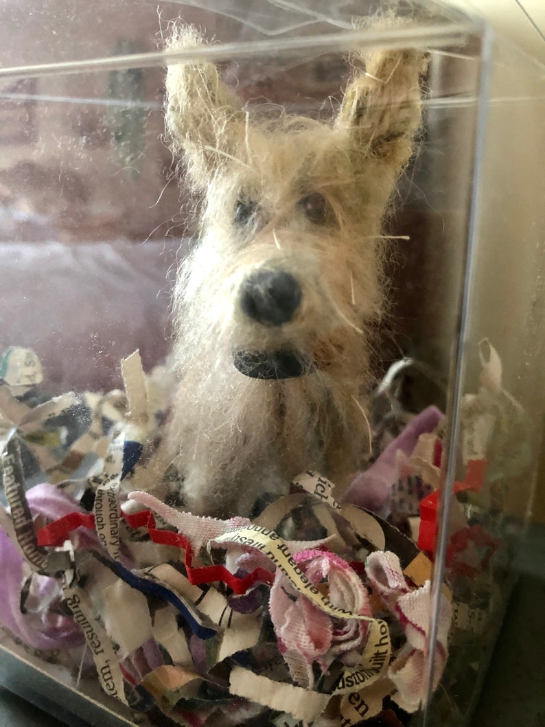 Puede incluir: Escultura de perro beige hecha a mano con nariz negra y orejas ca&iacute;das, exhibida dentro de una caja de pl&aacute;stico transparente. El perro est&aacute; rodeado de papel triturado y retazos de tela, creando una presentaci&oacute;n art&iacute;stica texturizada.