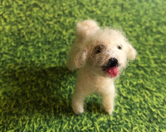 Retrato de mascota • Perro • Todas las razas disponibles