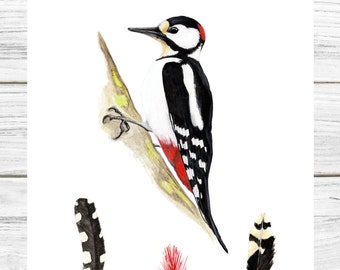Bird print, Great spotted woodpecker, Wall art, Bird illustration, Printable Art, Digital Poster Download, Watercolor, Alps, Feathers Poster