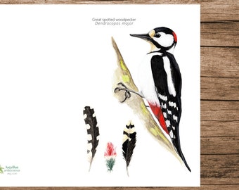 Nature Greeting Card, Woodpecker Card, Printable Art, Greeting card Bird Lovers, Watercolour Illustration, PDF, A5, Great spotted woodpecker