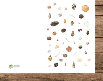 Nature Greeting Card, Seashell Card, Printable Art, Sea Lovers, Watercolour Illustration, PDF, A5, Happy Little Things