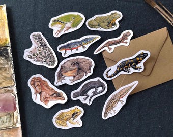 May include: A collection of illustrated stickers featuring various amphibians and reptiles, including frogs, salamanders, and newts. The stickers showcase detailed watercolor artwork with a white border, set against a dark background. A small brown envelope and paintbrushes are also visible.