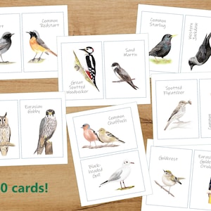 LARGE OUTDOOR Nature Memory Card Game, Uccelli, Gioco per bambini, Gioco stampabile, Acquerello, Gioco educativo, Collezione di uccelli, Gioco all'aperto