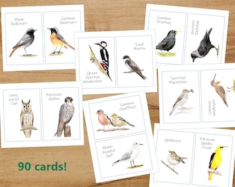 LARGE OUTDOOR Nature Memory Card Game, Birds, Children game, Printable Game, Watercolour, Educational Game, Bird collection, Outdoor Game