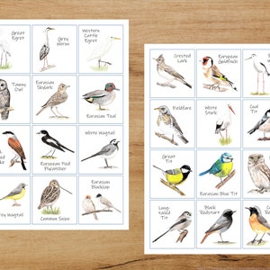 Juego de cartas de memoria de la naturaleza, Aves, Juego casero para niños, Juego imprimible, Acuarela, Juego educativo, Colección de pájaros, Juego de mesa