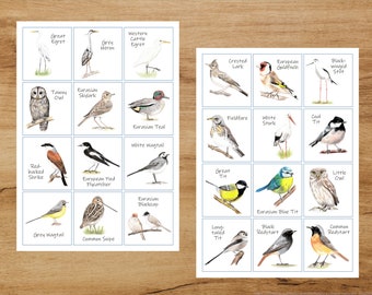 Nature Memory Card Game, Birds, Home made Children game, Printable Game, Watercolour, Educational Game, Bird collection, Board Game