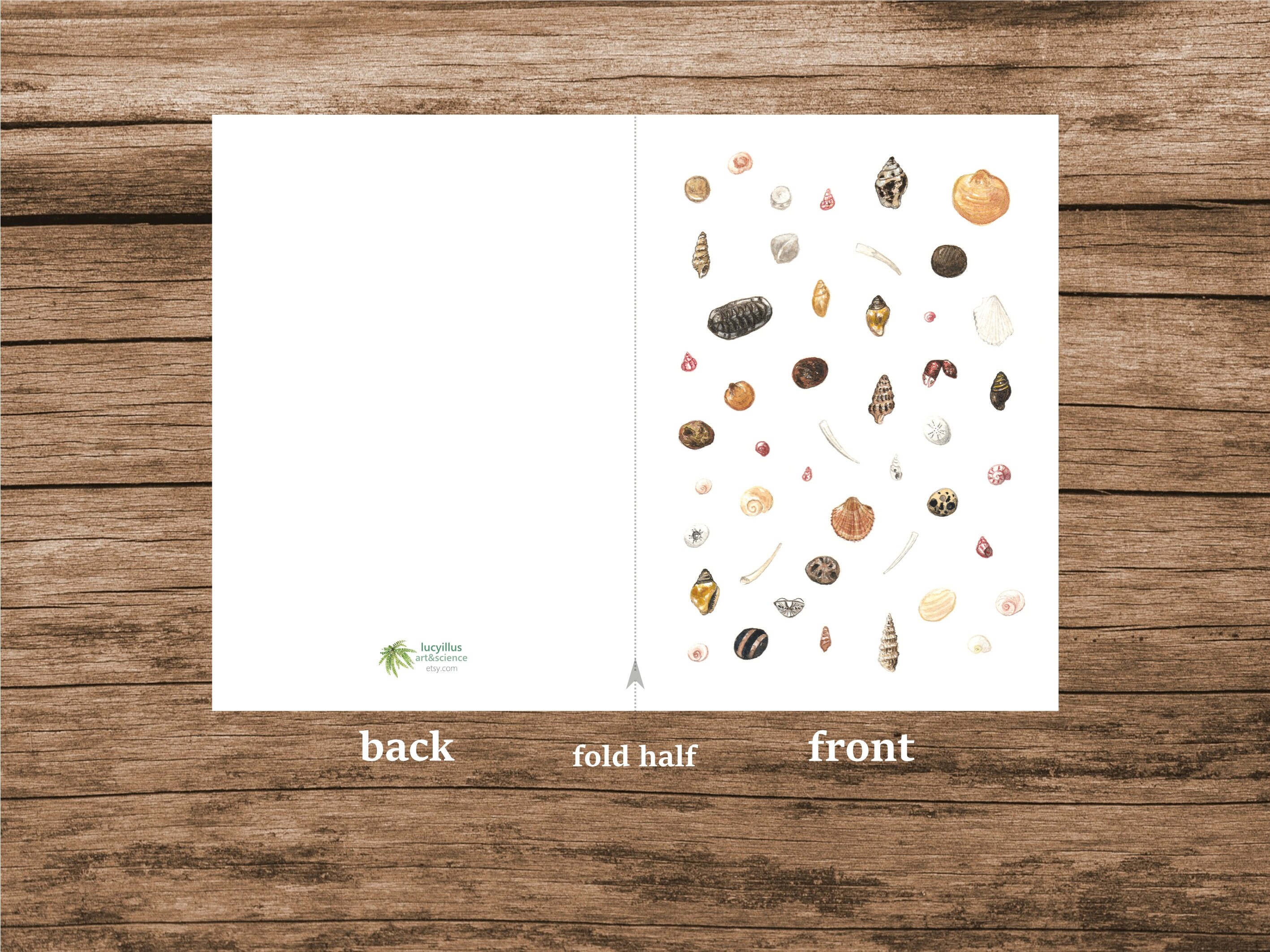 Nature Greeting Card Seashell Card Printable Art Sea - Etsy