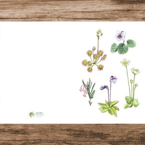 Cartão de felicitações da natureza, cartão de botânica, arte para impressão, cartão de felicitações para amantes de plantas, ilustração em aquarela, PDF, A5, plantas carnívoras, zonas úmidas
