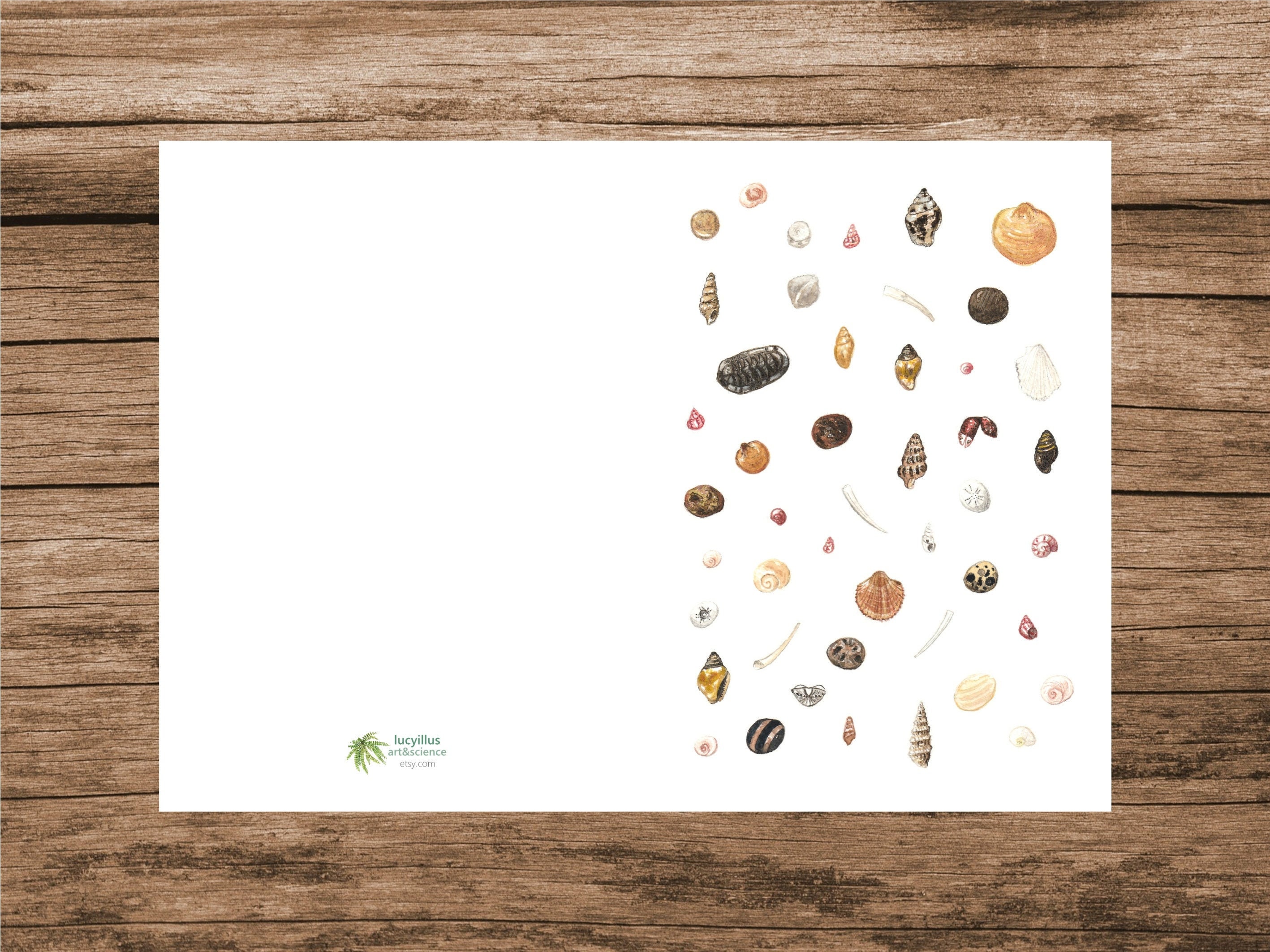 Nature Greeting Card Seashell Card Printable Art Sea - Etsy