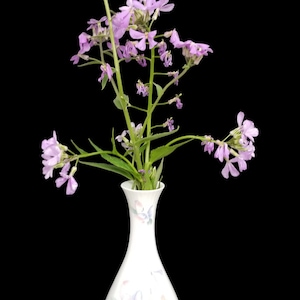 Vintage John Aynsley Bone China Little Sweetheart Bud Vase