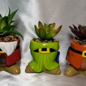 Grumpy, Dopey & Doc Faux Succulent Terrariums