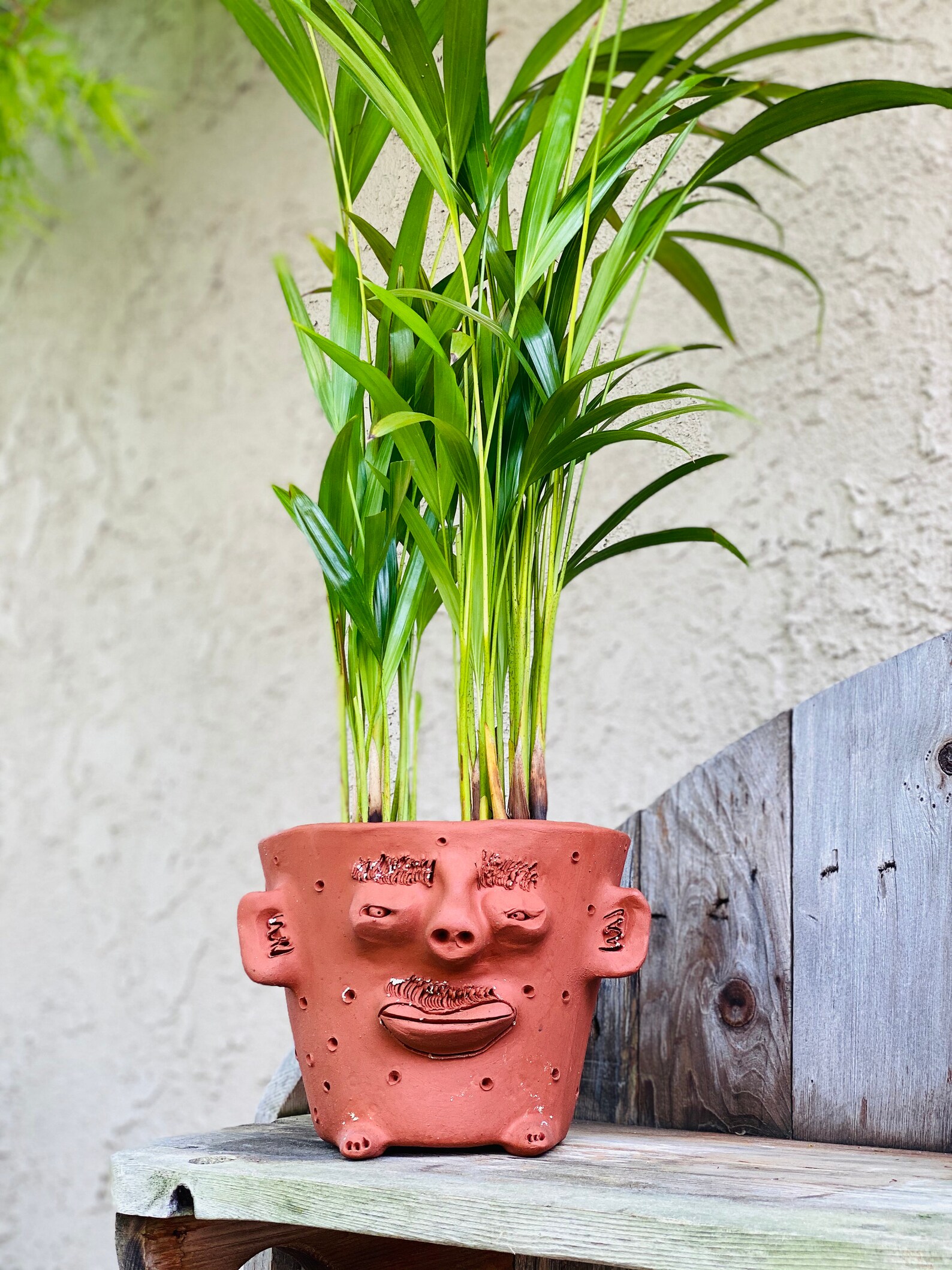 Face Planter Handcrafted Terracotta Pot Unique Handmade Clay Etsy