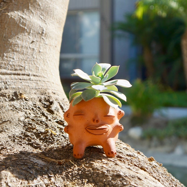 Plant Face Artisanal Pot en terre cuite Pots en argile faits à la main Poterie