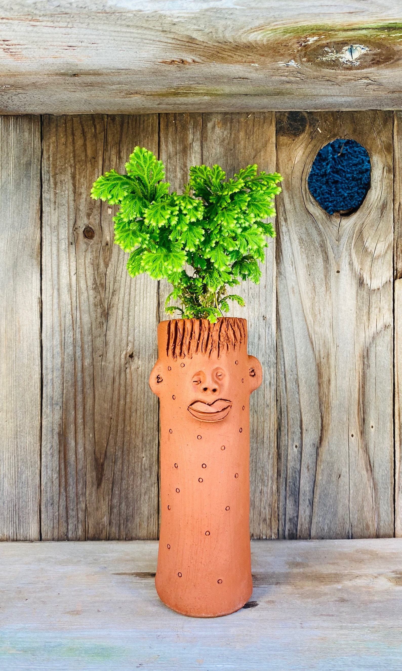 Face Plant Handcrafted Terracotta Pot Handmade Clay Pots Etsy