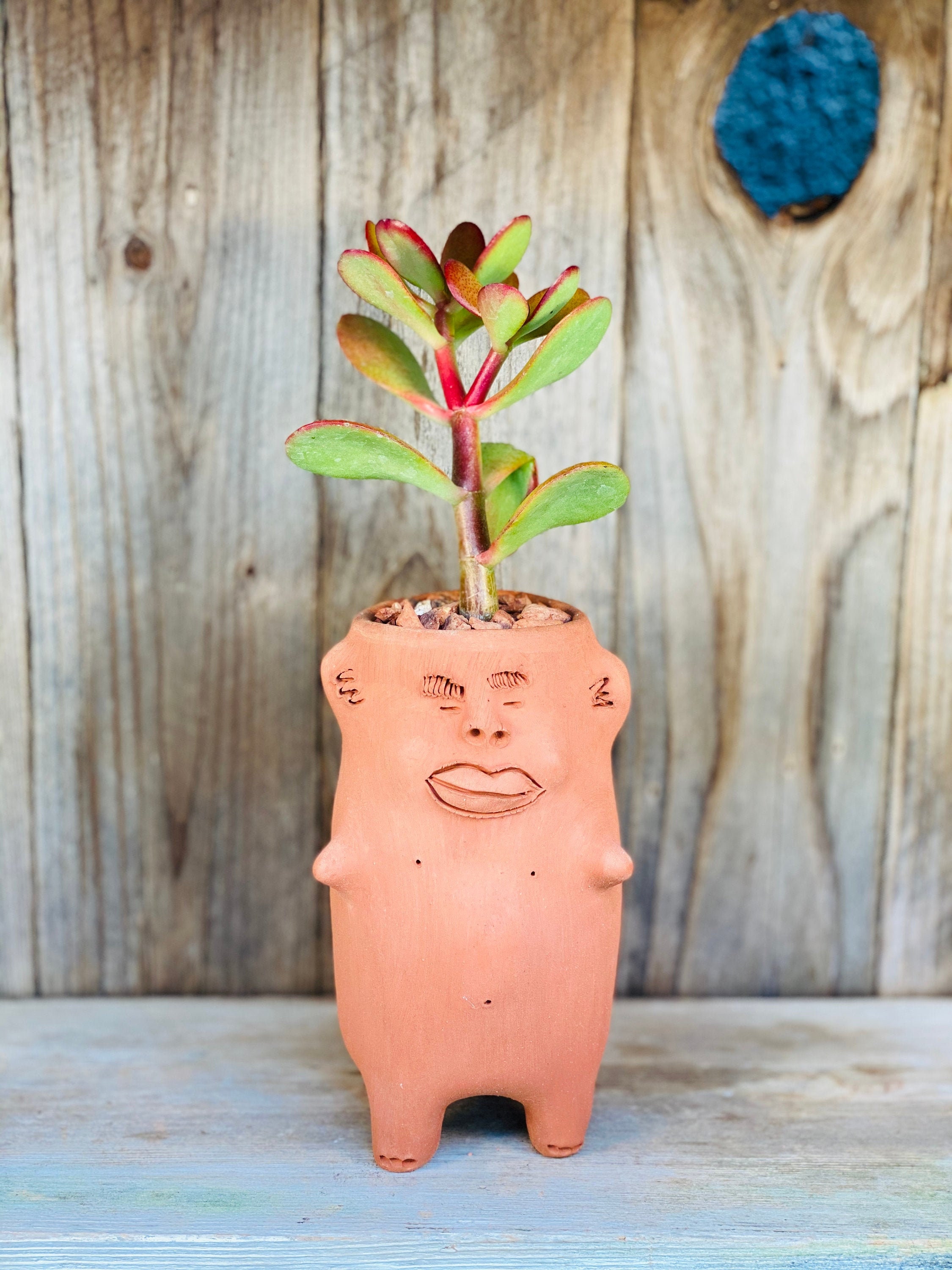 Face Planter Pot Handmade Ceramic wall head pot sculpture, garden