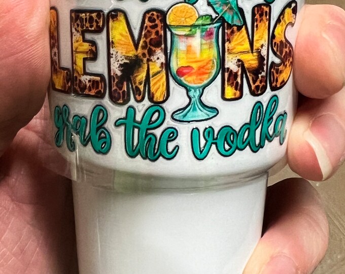 3oz Stainless Steel Tumbler Shot Glass Set For Sublimation