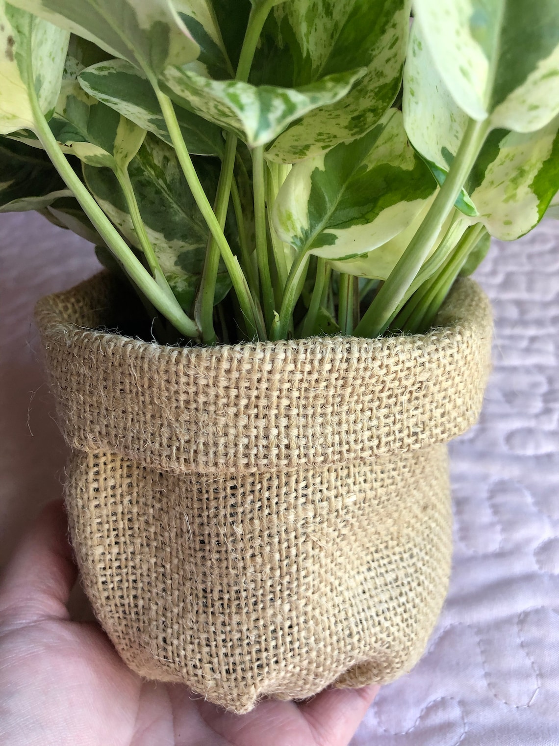 Burlap Plant Pot Cover Make your plant look like it's Etsy