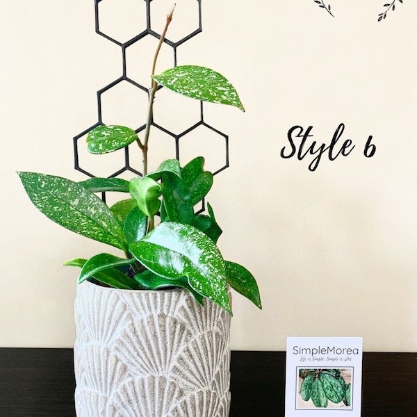 12" Tall Black Honeycomb Plant Trellis, Style #6 (Same Pattern as #2)