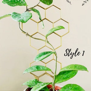 12" Tall Bronze Honeycomb Plant Trellis, Style #1