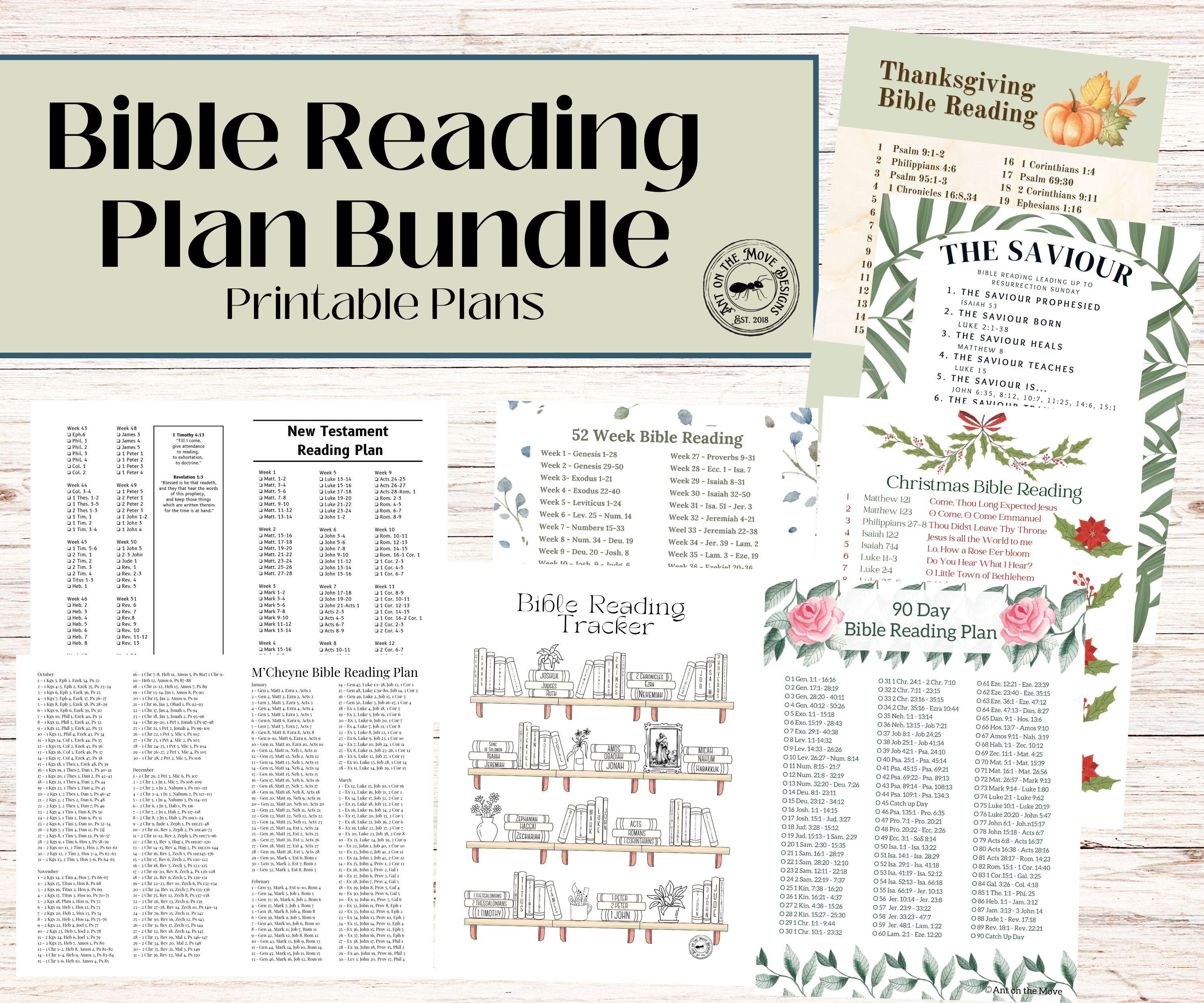 2025 Bible Reading Plans, 8 Printable Bible Reading Schedules, Faithbased Bible Study