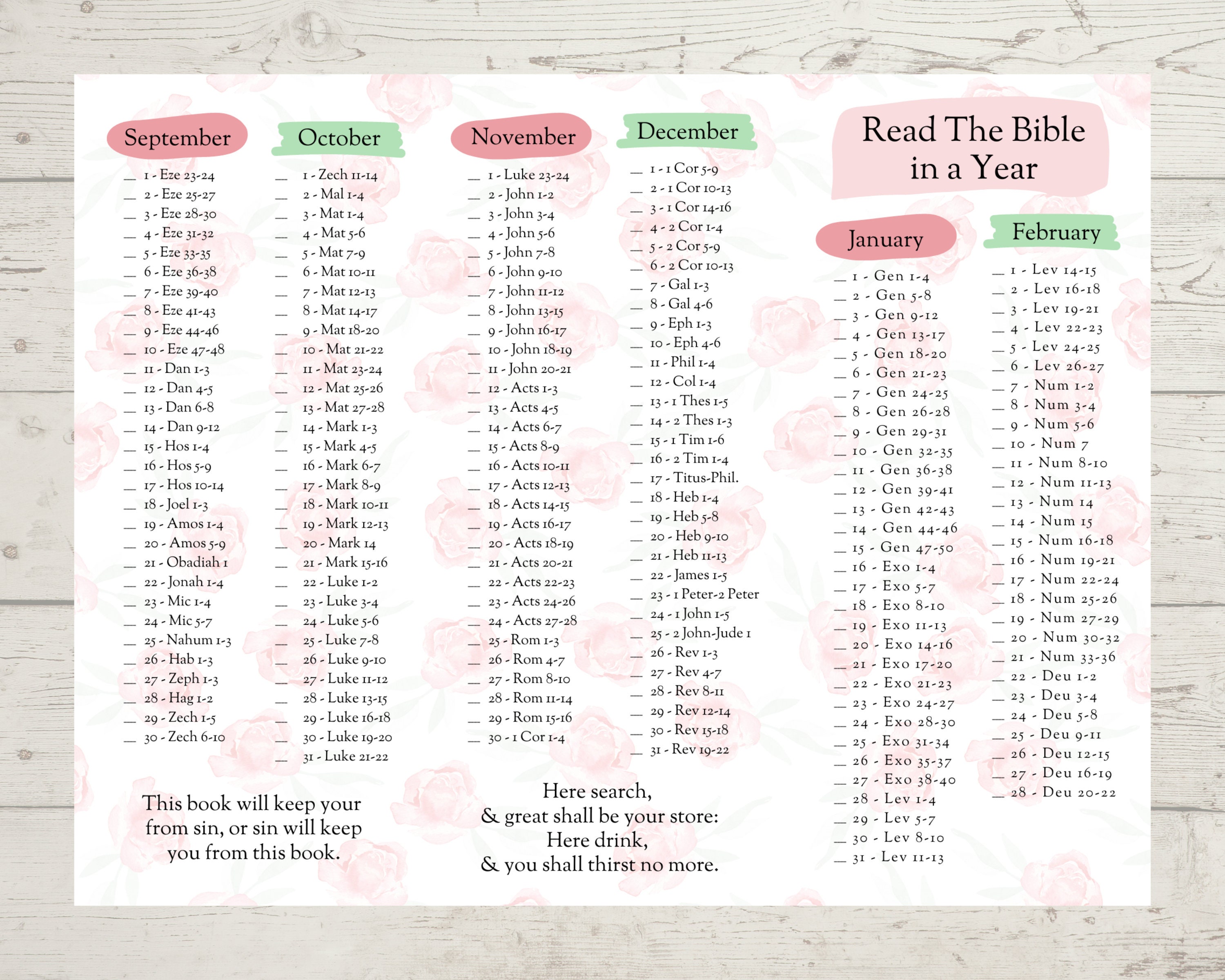 2026 Bible Reading Plan | Printable Tri-fold Tracker (digital Download ...