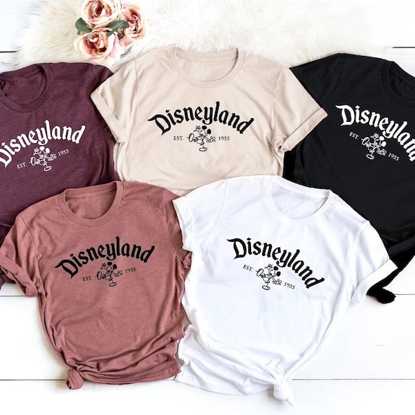 Disneyland Family Shirts, Disneyland shirts, Disney family shirt, disney trip shirt, disney family tee,  disneyland shirt, disney shirt,