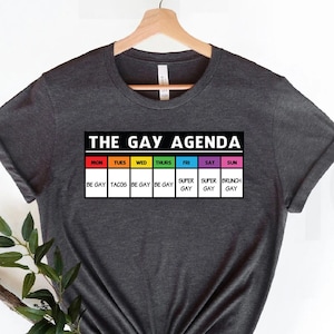 The gay agenda shirt,Gay Shirt, LGBT Shirt, Bisexual Shirt, Lesbian Shirt, vintage shirt, LGBT Gift, Pride Rainbow Shirt, trendy shirt,