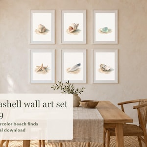 Könnte beinhalten: Ein Set aus sechs gerahmten Aquarelldrucken mit verschiedenen Muscheln, einem Seestern und einer Feder auf hellem Grund. Der Text auf dem Bild lautet: Seashell wall art set of 9, Watercolor beach finds, Digital download.