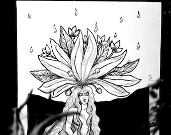 MANDRAGORA
