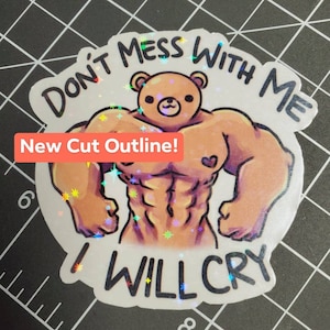 May include: A holographic sticker with a cartoon bear wearing a heart on its chest and the text "Don't mess with me I will cry".