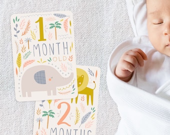 14 Baby Milestone Month DIY Cards, Printable Baby Shower Gift, Baby Progress Cards, Baby Shower Keepsake, Girl Boy Gift, New Baby Printable