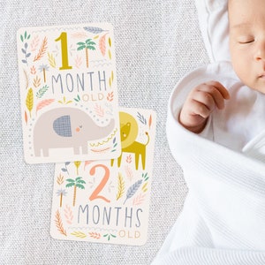 14 Baby Milestone Month DIY Cards, Printable Baby Shower Gift, Baby Progress Cards, Baby Shower Keepsake, Girl Boy Gift, New Baby Printable