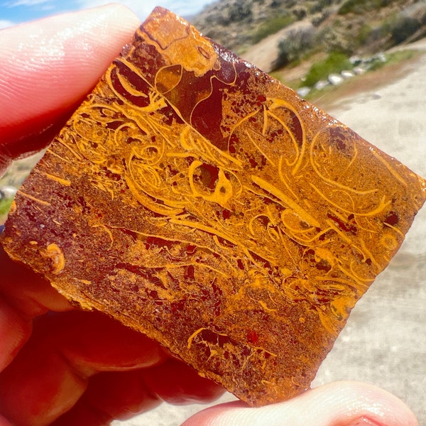 178cts Natural Golden Lace Stripe Agate Slice Rough Facet Specimen