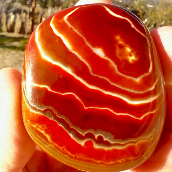 400cts Gobi Desert Agate Lucky Palmstone Stress Meditation