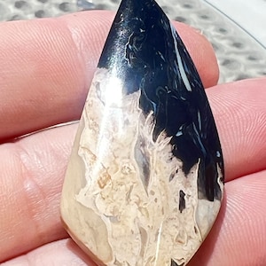 Może przedstawiać: Kabochoński agat w kształcie łzy z czarno-białym wzorem. Agat ma gładką, polerowaną powierzchnię.