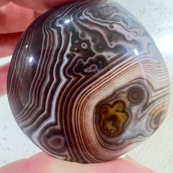 Polished Gobi Agate Palm Stone Handmade Collectable