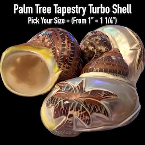 Palm Tree Tapestry Turbo Shells (Hermit Crab Shell - opening sizes from 1" - 1 1/4")