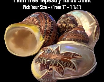 Palm Tree Tapestry Turbo Shells (Hermit Crab Shell - opening sizes from 1" - 1 1/4")