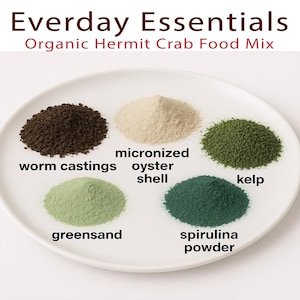 EVERYDAY ESSENTIALS™ Hermit Crab Food Mix
