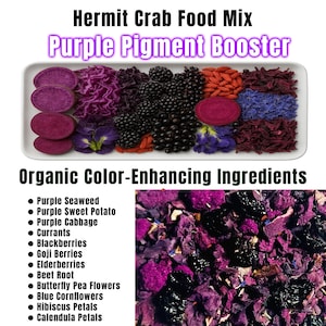 May include: A rectangular white tray displays a variety of organic ingredients for hermit crab food. The ingredients include purple sweet potato, cabbage, blackberries, and goji berries. Text reads "Hermit Crab Food Mix Purple Pigment Booster" and "Organic Color-Enhancing Ingredients."